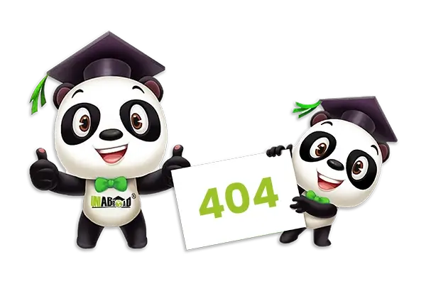 Panda 404
